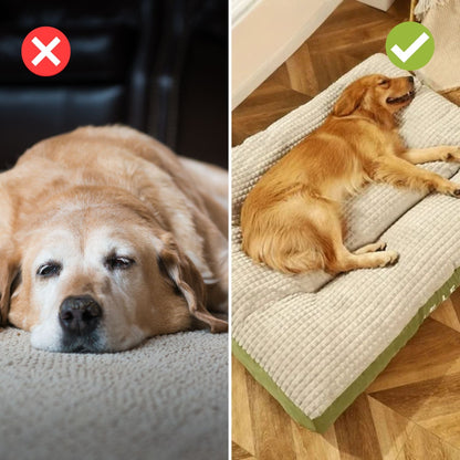 Calming Pet Bed for Peaceful Nights - Halri