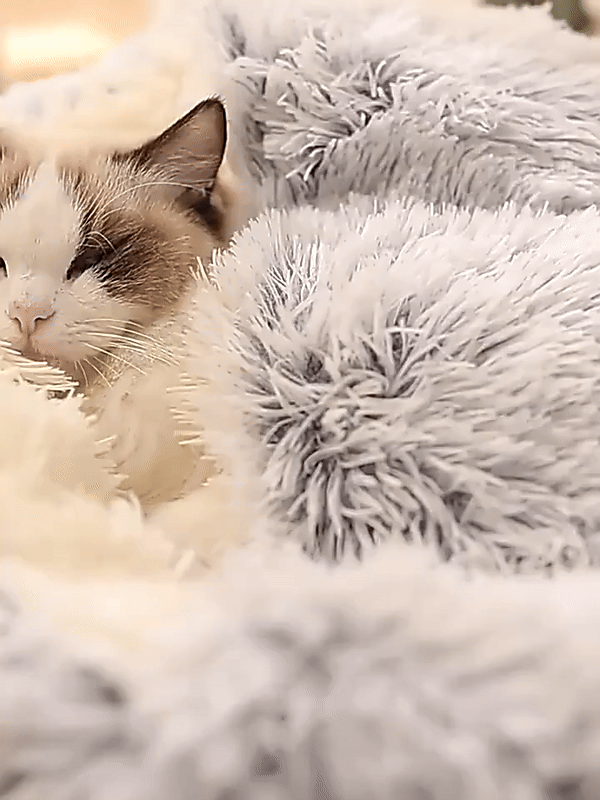 Cozy Hideaway Pet Dog Bed