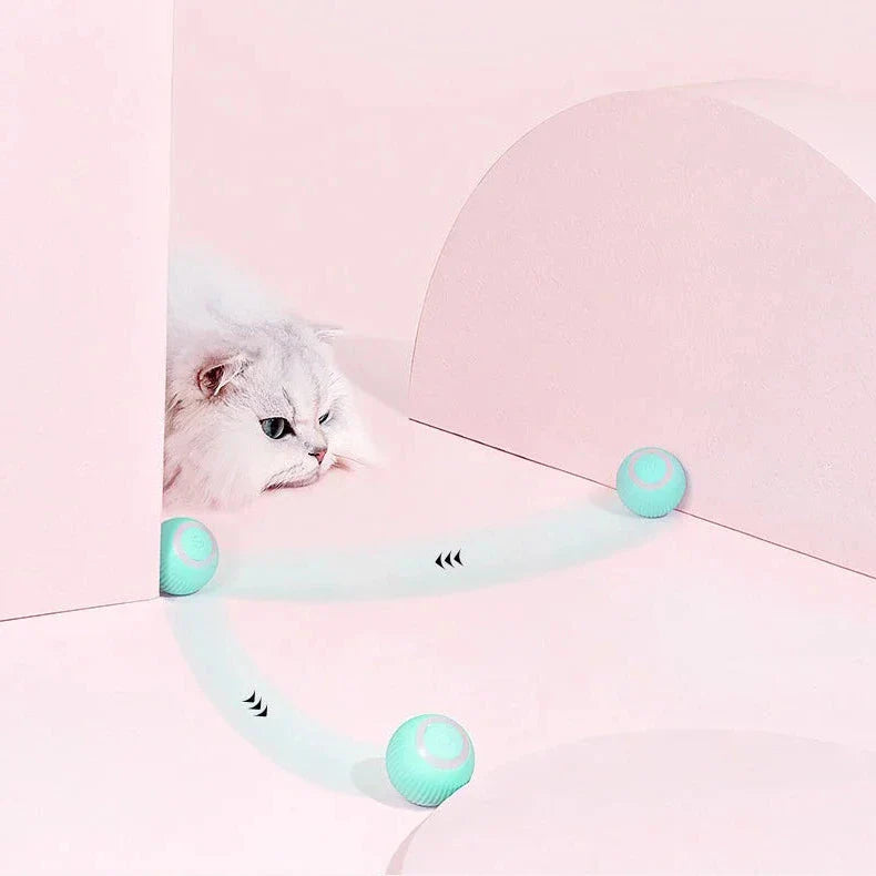Interactive Dual Action Cat Hunting Toy