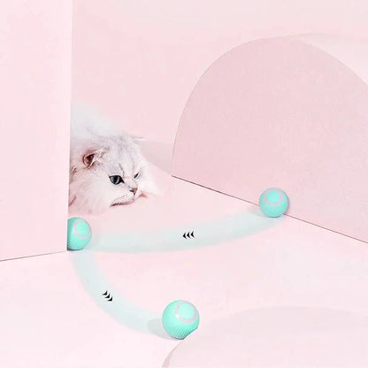 Interactive Dual Action Cat Hunting Toy