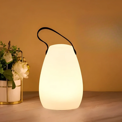 Portable Waterproof LED Light