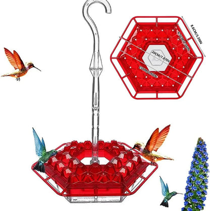 Colorful Bird Feeder Set