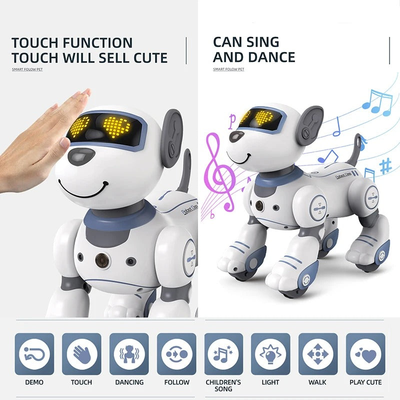 Fun Interactive Pet Toy