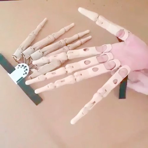 Spooky Jointed Halloween Finger Prop - Halri