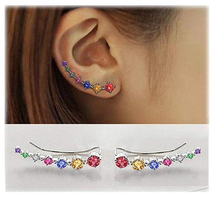 Luxurious Sparkling Zircon Silver Stud Earrings