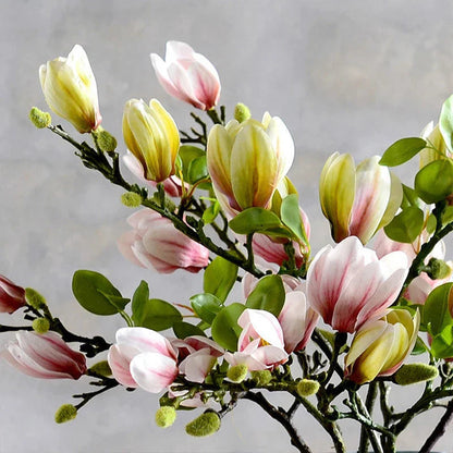 Low Maintenance Artificial Plant - Halri