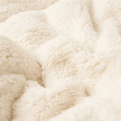 Plush Reversible Shaggy Area Rug