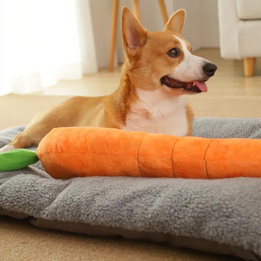 Fun Dog Chew Play Toy - Halri