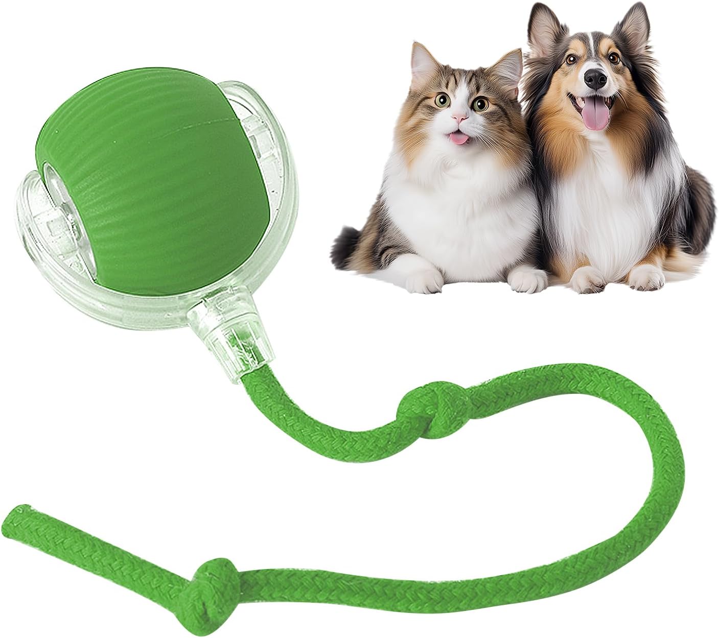 Fun Interactive Dog Ball Toys