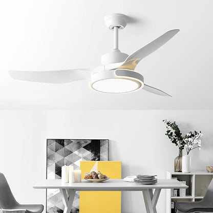 Stylish Ceiling Fan with Light and Remote