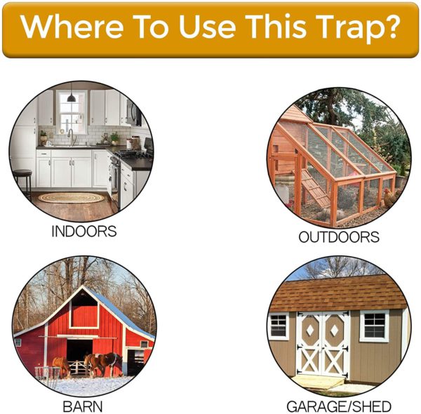 Easy Set Mouse Trap Bucket Lid Catcher