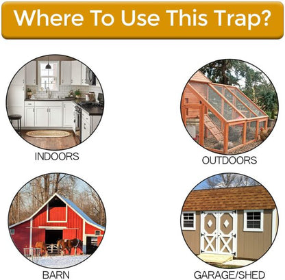Easy Set Mouse Trap Bucket Lid Catcher