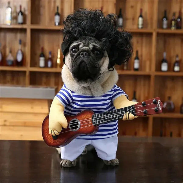 Cute Funny Pet Costume