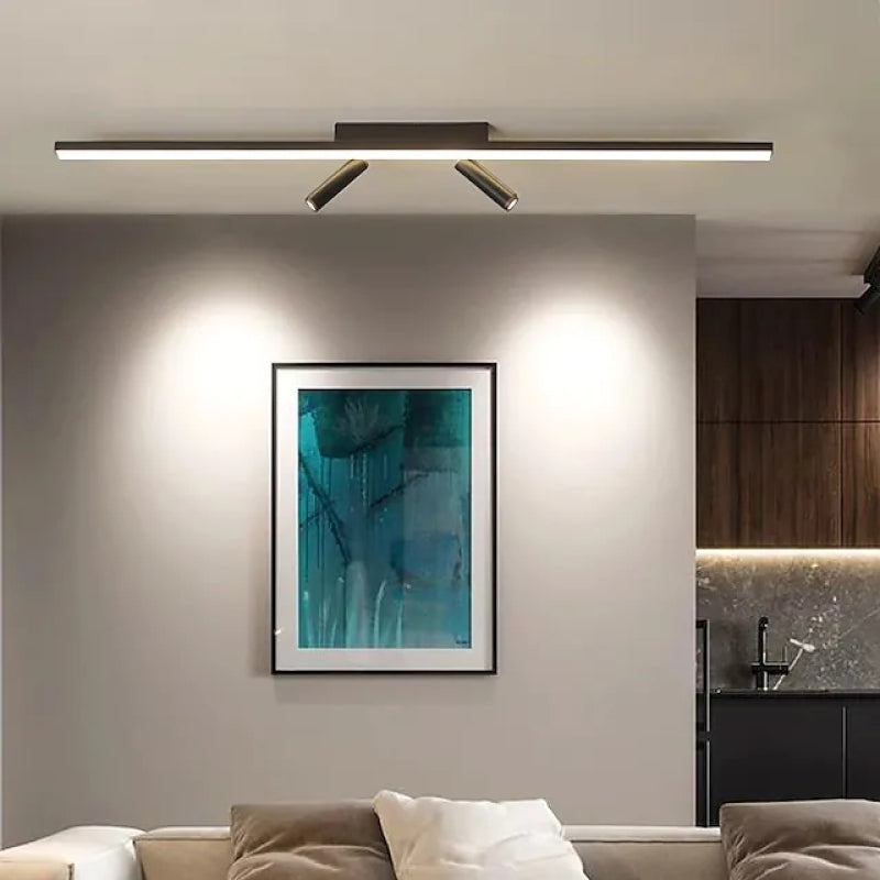 Contemporary Adjustable Ceiling LED Light Fixture
