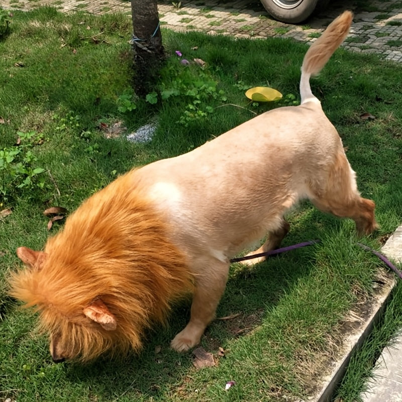Funny Lion Pet Costume for Dogs - Halri