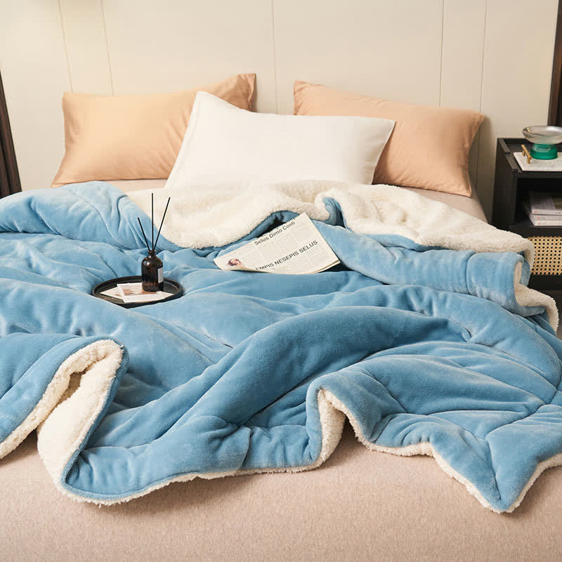 Plush Reversible Shaggy Area Rug