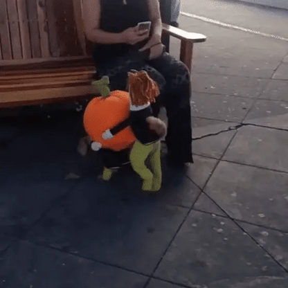 Cute Funny Pet Costume