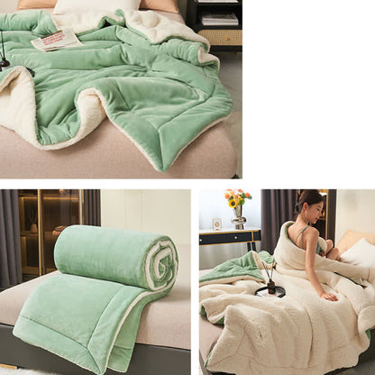 Plush Reversible Shaggy Area Rug