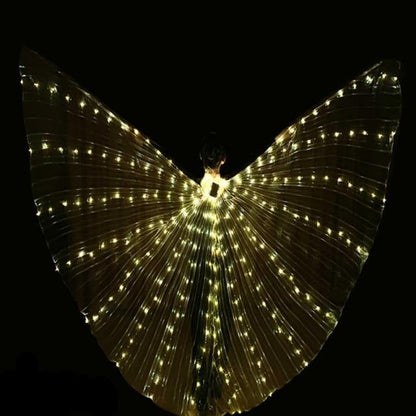 Colorful LED Dance Wings Costume