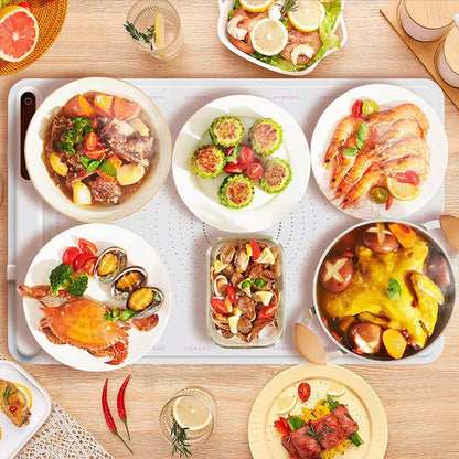 Heated Food Serving Tray