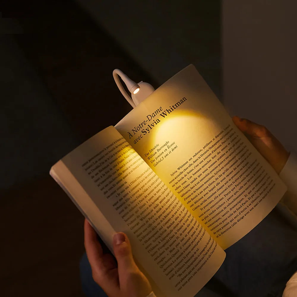 Portable LED Reading Lamp