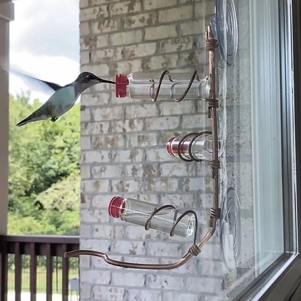 Bird Watching Window Bird Feeder - Halri