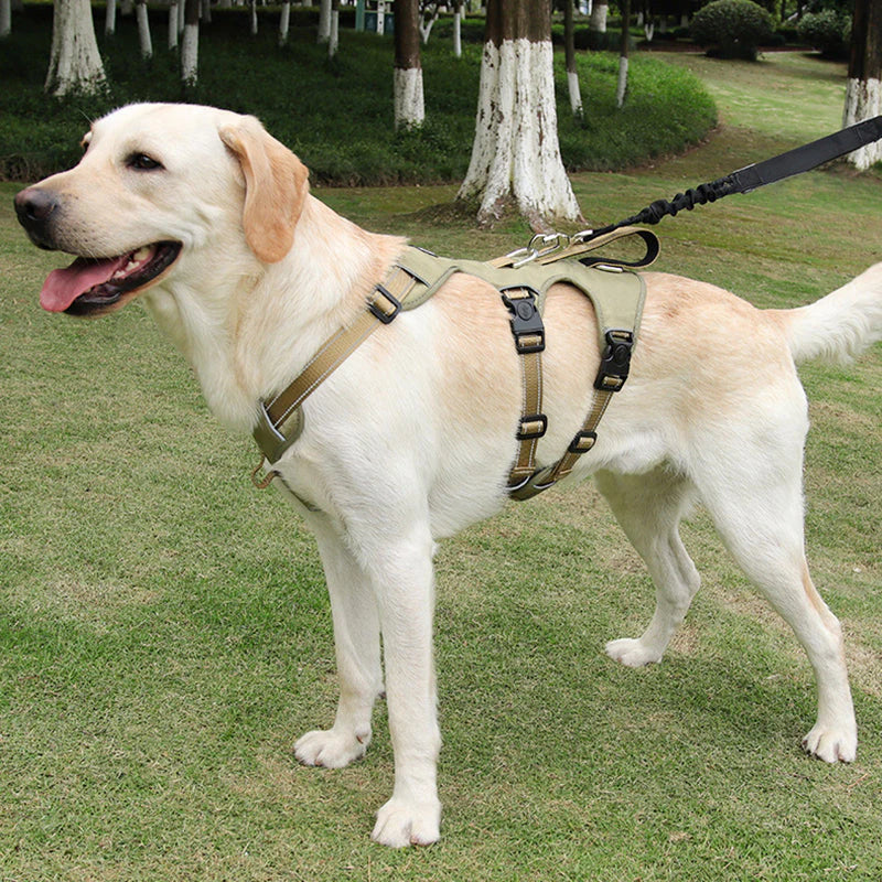 Safe Walk Reflective Dog Harness with Control Handle - Halri