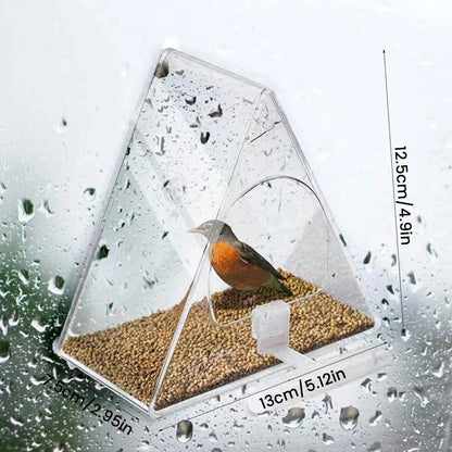 Transparent Plastic Suet Bird Feeder for Yard