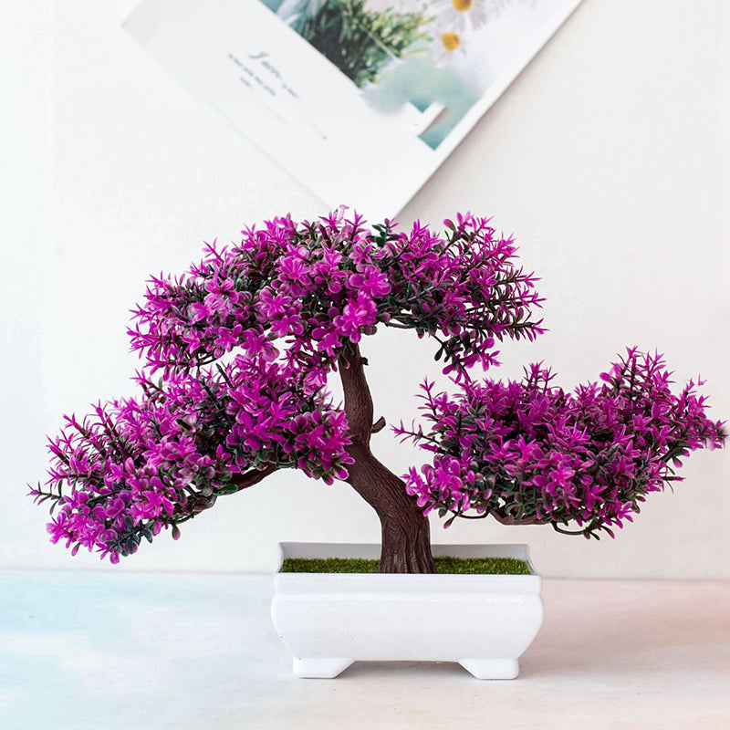 Mini Indoor Bonsai Tree