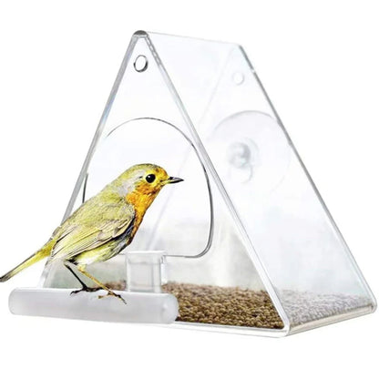 Transparent Plastic Suet Bird Feeder for Yard