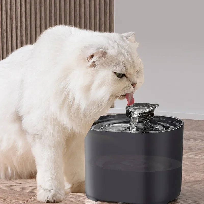 Pet Automatic Water Dispenser