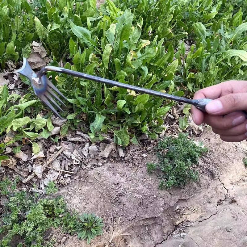 Easy Weed Removal Tool
