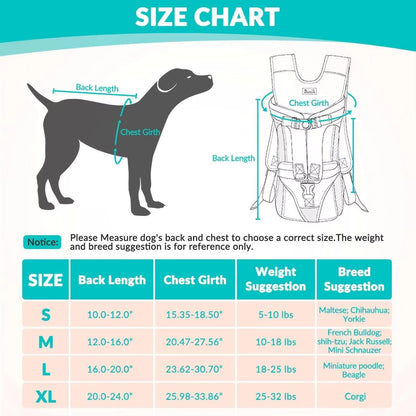 Pet Hiking Carrier Backpack