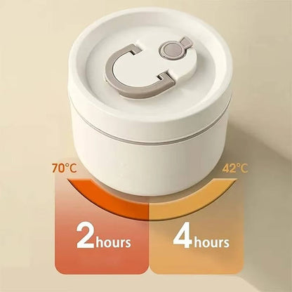 Insulated Stainless Steel Lunch Box Food Container Set