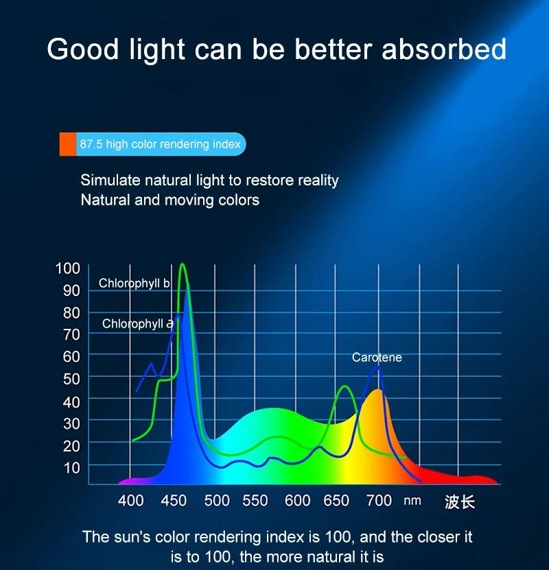 Powerful LED Aquarium Clip Light for Fish Tank Lighting