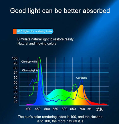 Powerful LED Aquarium Clip Light for Fish Tank Lighting