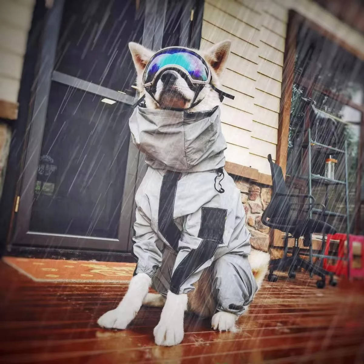 Waterproof Pet Rain Jacket