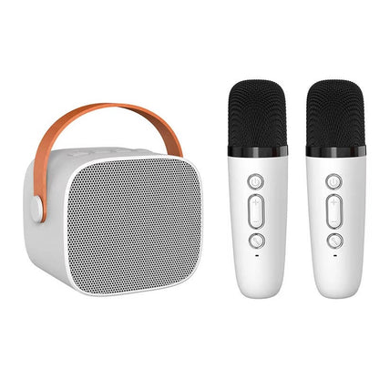 Portable Karaoke System with 2 Microphones