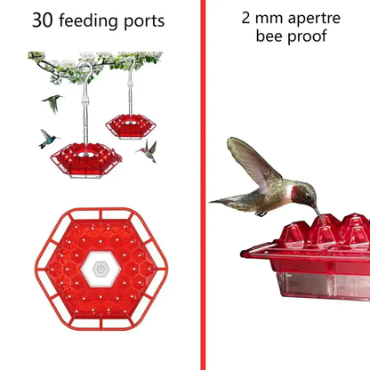 Easy Fill Outdoor Hanging Bird Feeder with Ant Trap