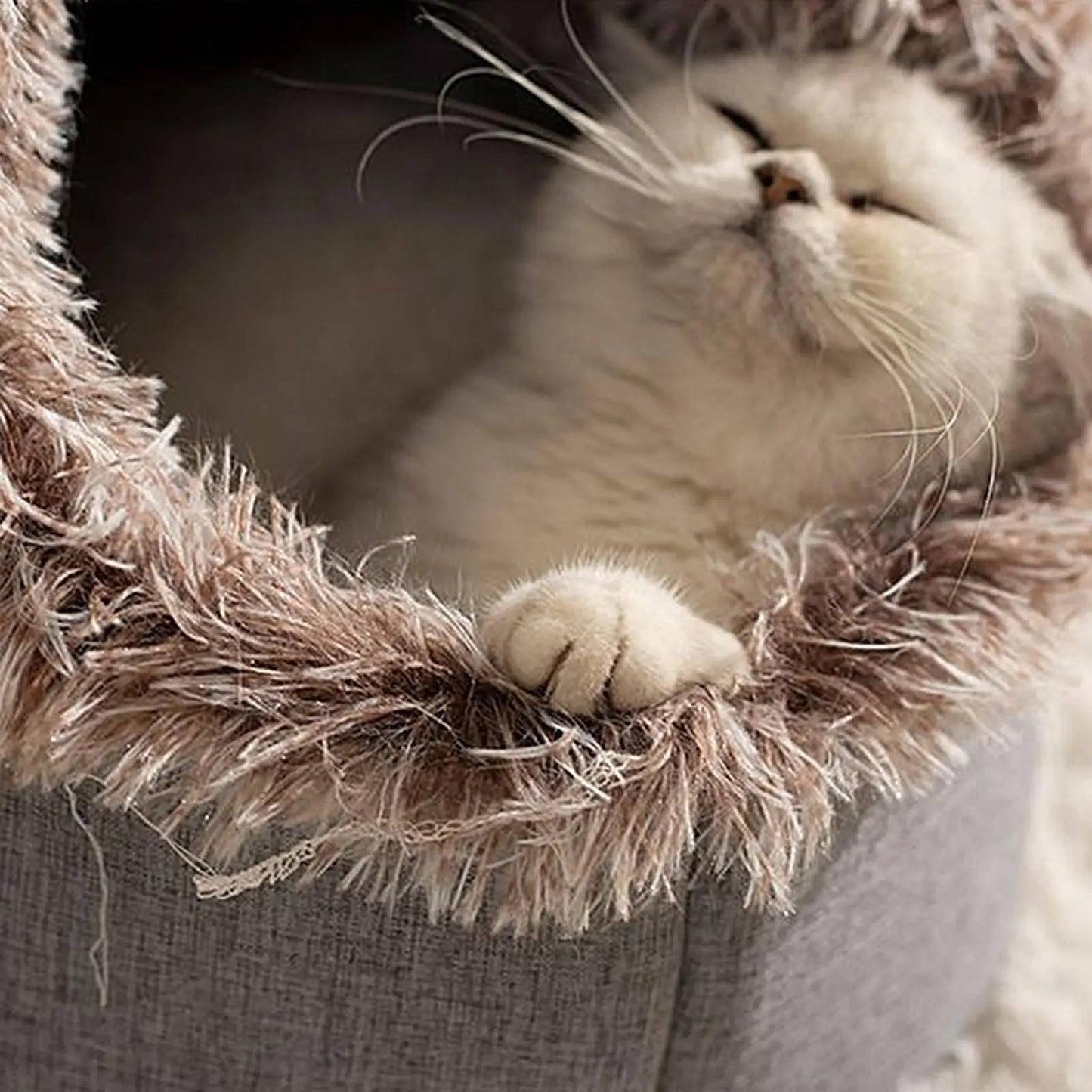 Cozy Kitty Warm Bed