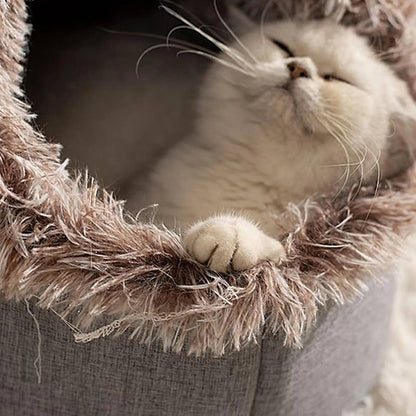 Cozy Kitty Warm Bed