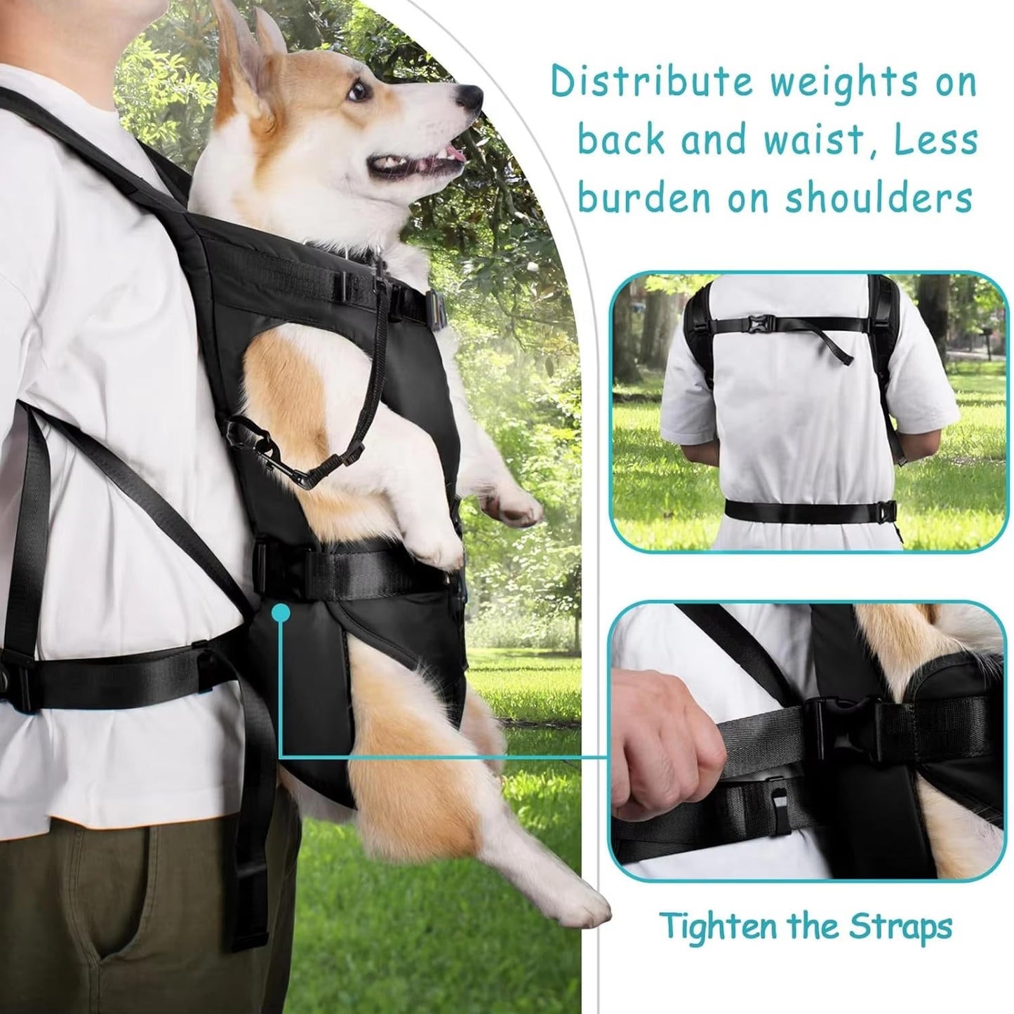 Pet Hiking Carrier Backpack