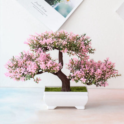 Mini Indoor Bonsai Tree - Halri