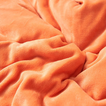 Plush Reversible Shaggy Area Rug