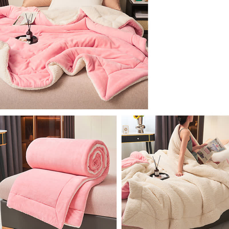 Plush Reversible Shaggy Area Rug