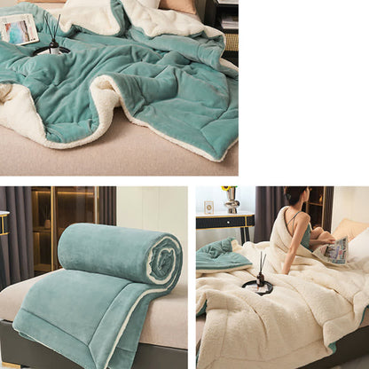 Plush Reversible Shaggy Area Rug