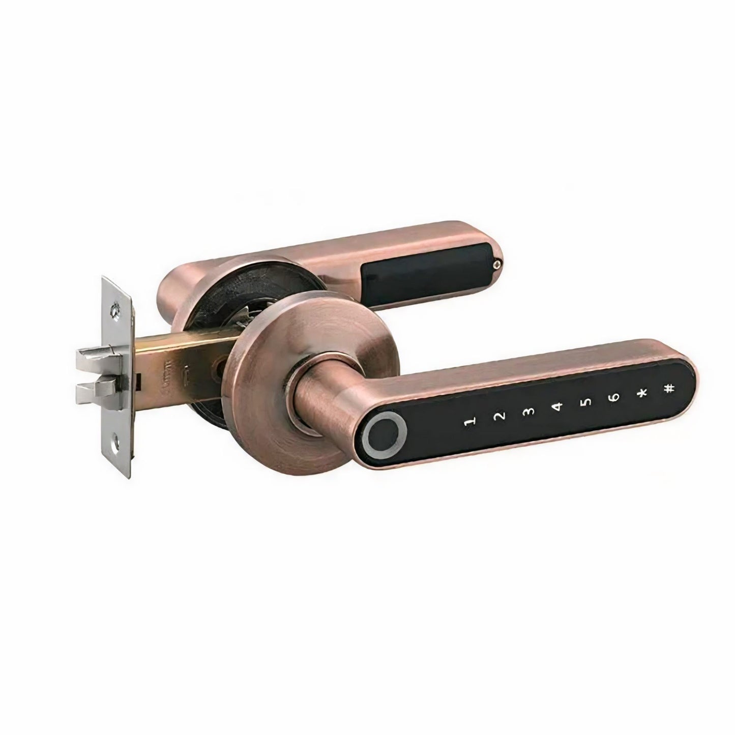 Easy Keyless Fingerprint Door Lock for Home Security