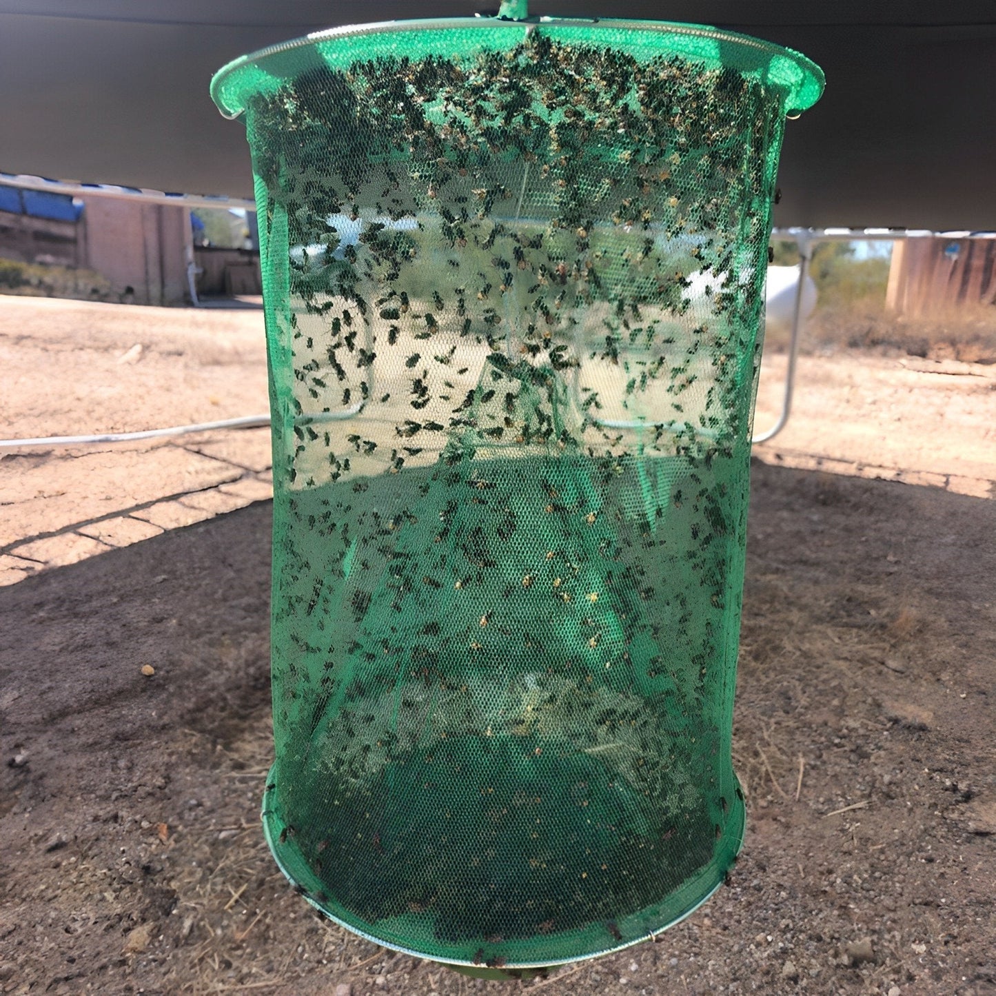 Natural Outdoor Fly Catcher | Safe, Chemical-Free & Reusable Trap