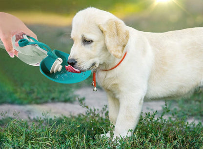 Compact Dog Travel Water Bottle