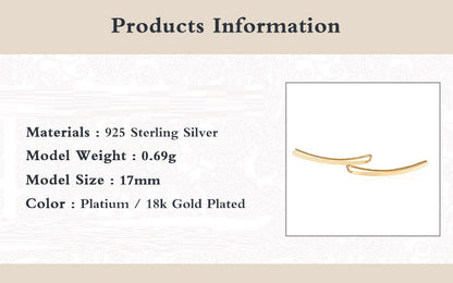 Elegant Silver Drop Earrings